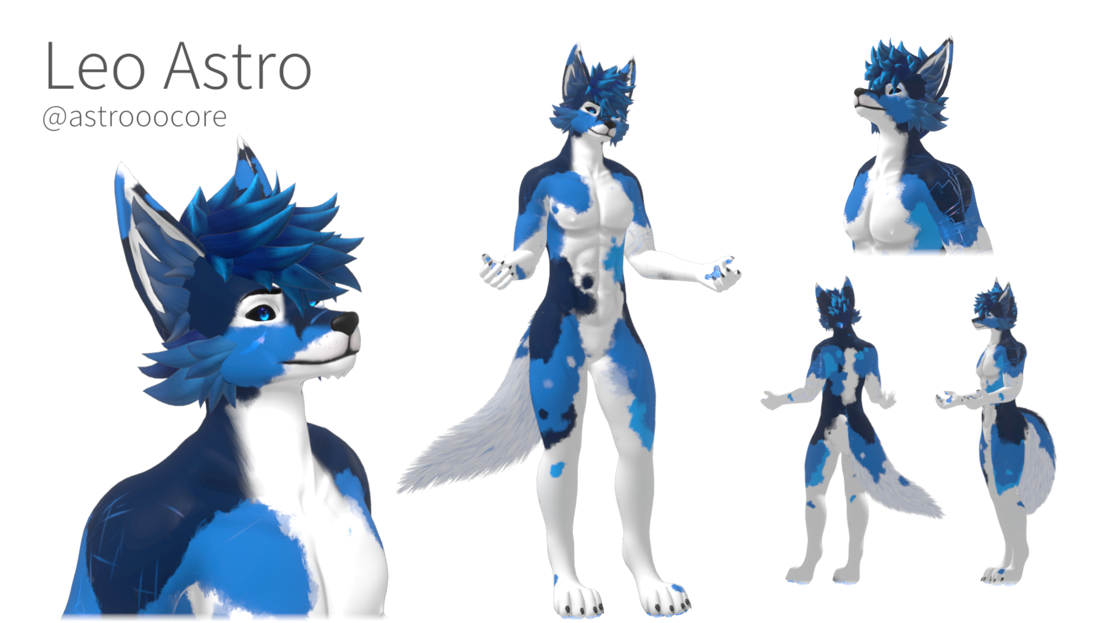 Introducing...Astro!